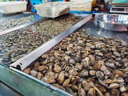 目前青岛市城阳蔬菜水产品批发市场水产品交易逐渐活跃起来,除上市量