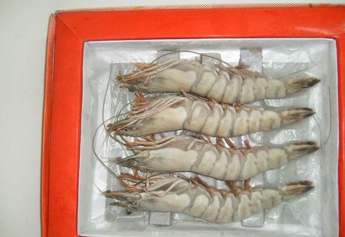 厂家供应鲜活大虾各种鲜活水产品批发鲜活大虾大虾礼盒